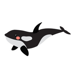 Killer whale orca animal cartoon character. Isolated on white background. Vector illustration.