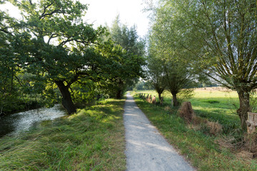 Nature Reserve at Lake De Witt / Germany