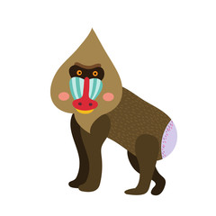 Mandrill animal cartoon character. Isolated on white background. Vector illustration.