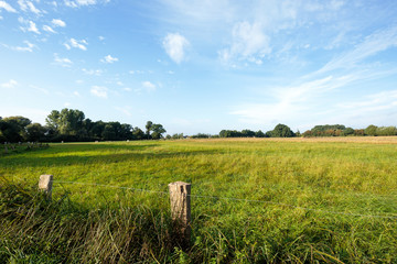 View to Village Leuth at Lake De Witt / Germany