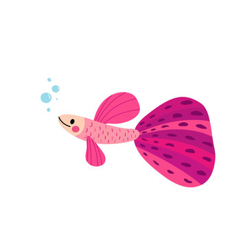 pink guppy fish swimming with bubbles clip art preview
