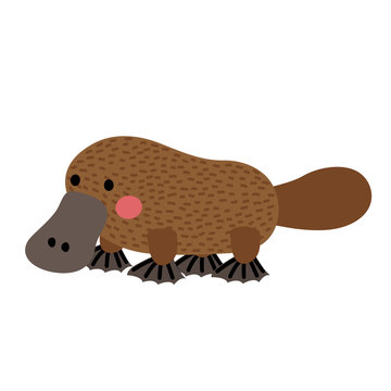 recommend clip art: Platypus animal cartoon character. Isolated on white background. Vector illustration.