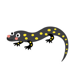 Salamander animal cartoon character. Isolated on white background. Vector illustration.