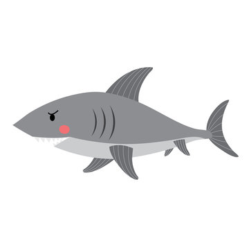 Shark side view animal cartoon character. Isolated on white background. Vector illustration.