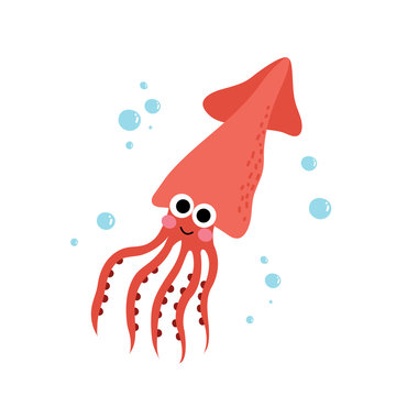 Squid animal cartoon character. Isolated on white background. Vector illustration.