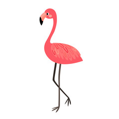 Standing Flamingo animal cartoon character. Isolated on white background. Vector illustration.