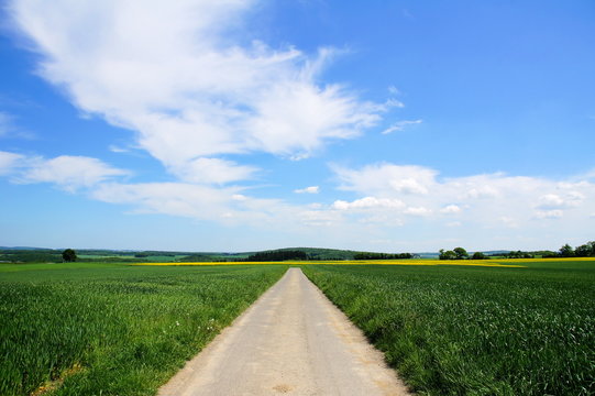 blauer Wolkenhimmel im Fr&uuml;hling &uuml;ber gr&uuml;ner Landschaft mit Weg
