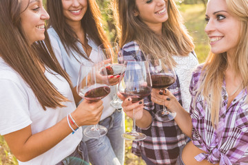 Smiling Girls Toasting with Red Wine Outdoors