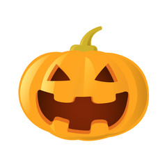 pumpkin jack o lantern, vector