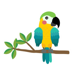 Yellow and blue Parrot bird perching on the branch animal cartoon character. Isolated on white background. Vector illustration.