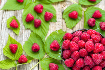Freshly harvested raspberry fruits fresh organic harvest