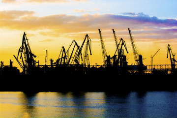 Obraz premium Silhouette of a crane. Cranes at the port. Silhouette of harbor at sunset. Sea port. Sunset at the port.