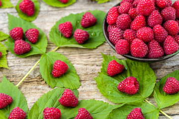 Delicious raspberry in a bowl. Fresh summer fruits