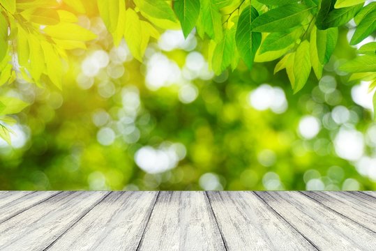 perspective white wood table and nature green leaves on abstract spring bokeh background