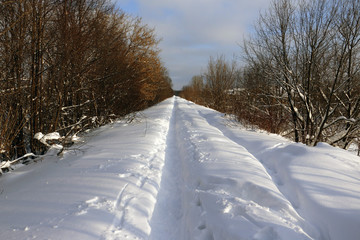 Obraz premium Path in the snow in a cold winter day