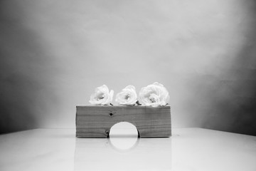 Black and white, wooden geometrical pieces with white rose and light grey background
