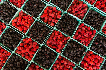 Red and Black Rasberries