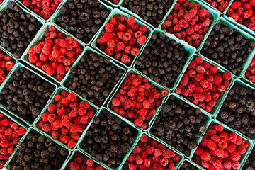 Red and Black Rasberries