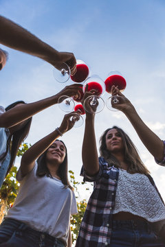 Bottom view of friends toasting with wine