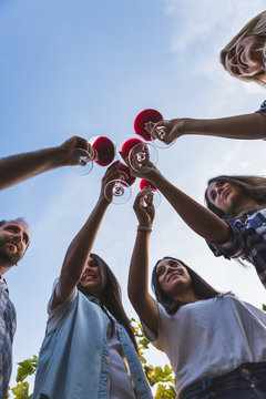Bottom view of friends toasting with wine