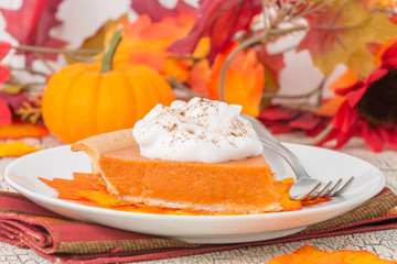 Pumpkin Pie Slice