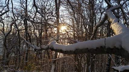 зима в Сочи