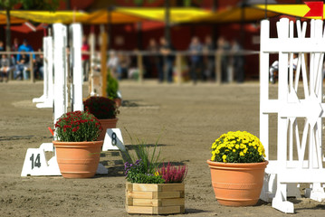 Springturnier