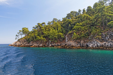 Naklejka premium Green island