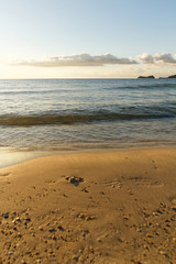 The sea