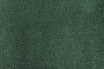 Leather texture or leather background for design with copy space for text or image.