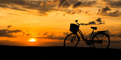 Bicycles in the park