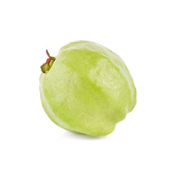 Guava (Psidium Guajava) leaf isolated on white background