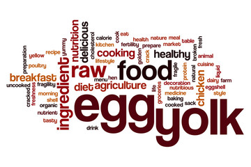 Egg yolk word cloud