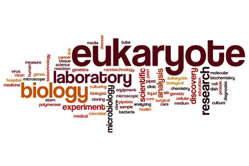 Eukaryote word cloud