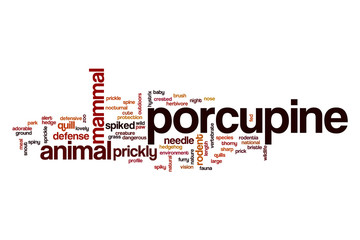 Porcupine word cloud
