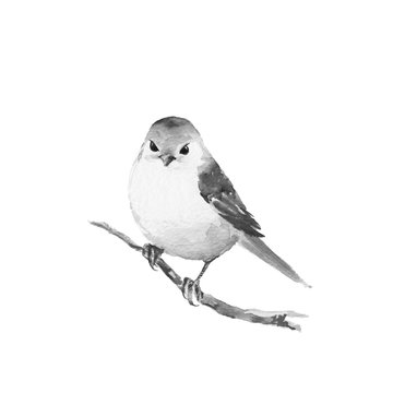 Small bird on branch 1. Black and white watercolor painting.