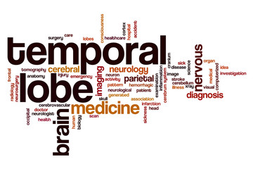 Temporal lobe word cloud