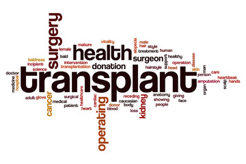 Transplant word cloud