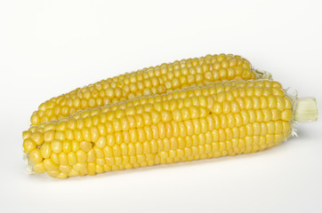 Two fresh raw corn cob isolated on white background