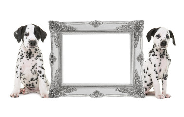 Silver victorian picture frame isolated on a white background with two dalmatian puppy's on the side with room for text inside the frame - obrazy, fototapety, plakaty
