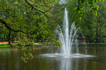 tulipe au Keukenhof - Pays Bas