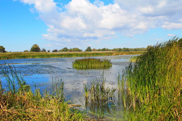 View on the river Dnieper 