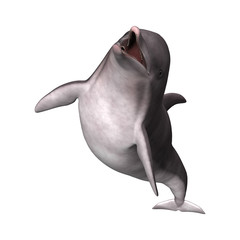 3D Rendering Dolphin on White © photosvac
