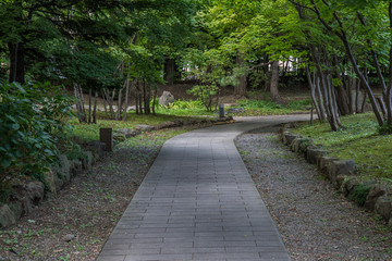 Fototapeta na wymiar 日本庭園 / 散歩道