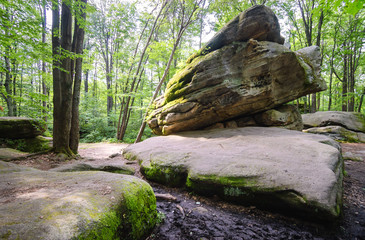 Allegany State Park