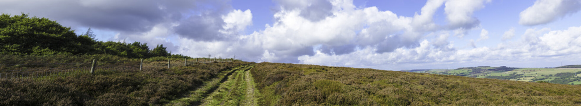 Yorkshire Moorland
