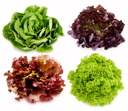 Fresh green and purple salad isolated on white background. Salad mix.