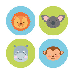 group animal cute icon vector illustration design
