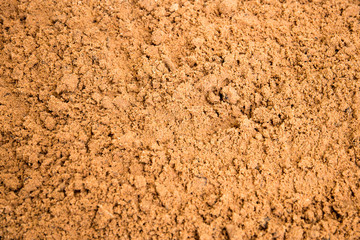 sandy  soil
