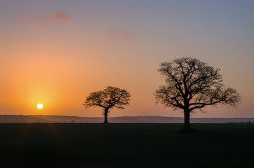 Naklejka premium Sunrise in Yorkshire